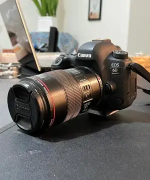 stock