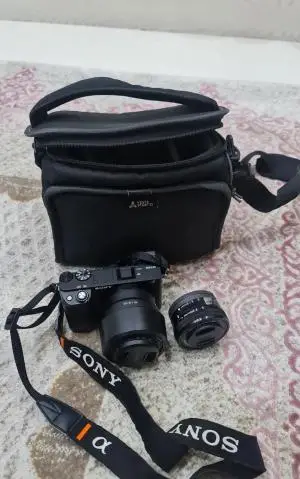 stock