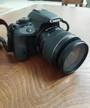 stock