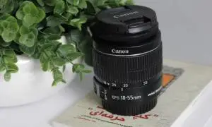 stock