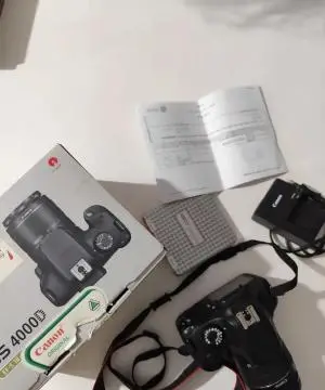 stock