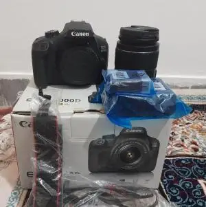 stock