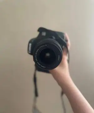 stock