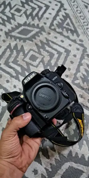 stock