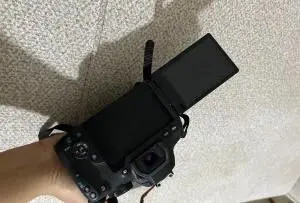 stock