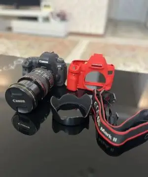 stock