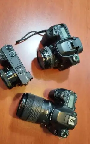 stock