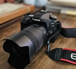 stock