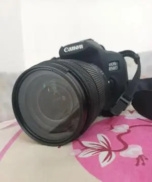 stock