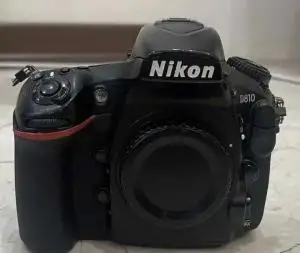 stock