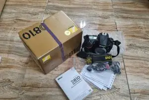 stock