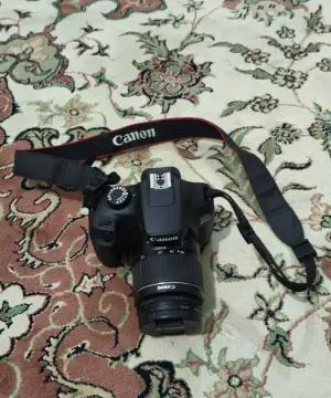 stock