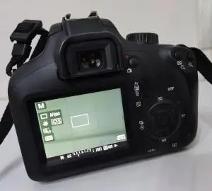 stock