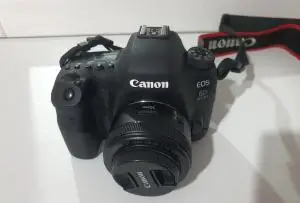 stock