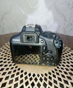 stock