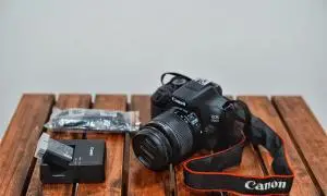 stock
