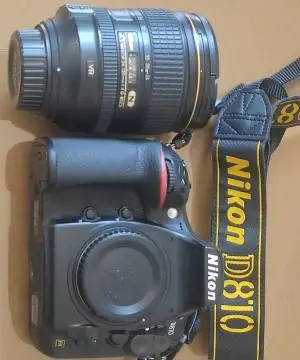 stock