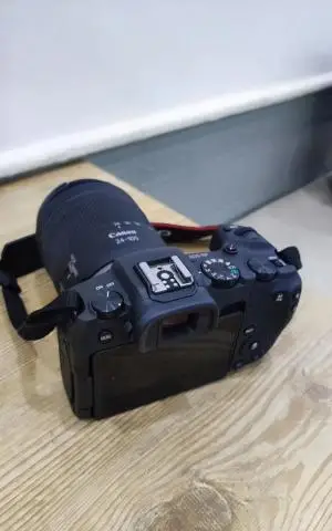 stock