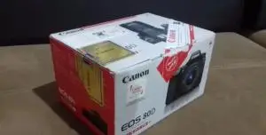 stock