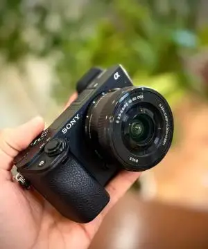 stock
