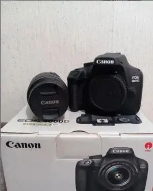 stock