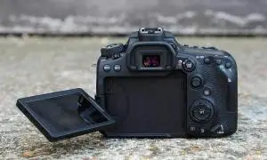 stock