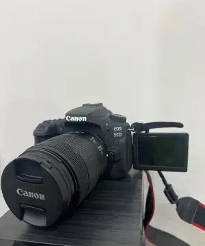 stock