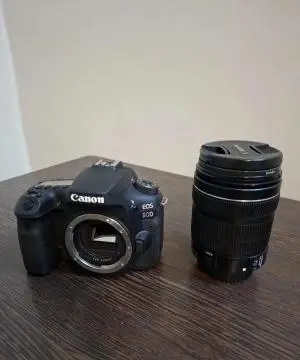 stock