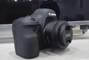 stock