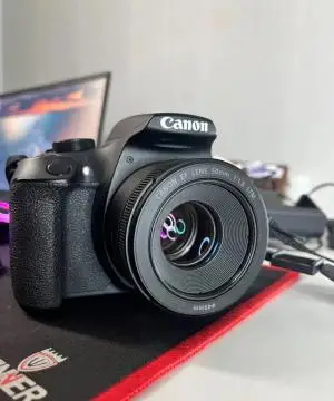 stock