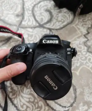 stock