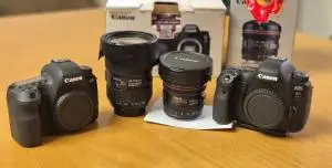stock