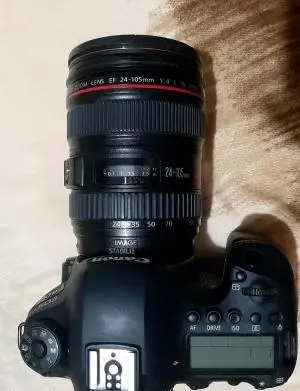 stock