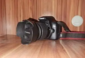 stock