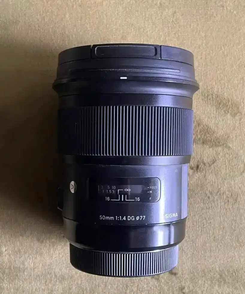 Sigma 50mm F1.4 DG HSM Art For Canon دست دو