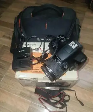 stock
