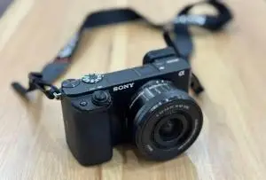 stock