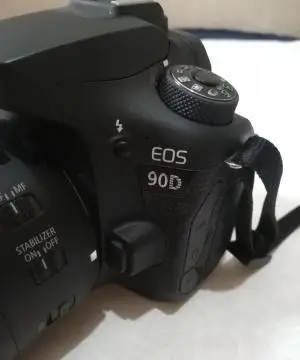 stock