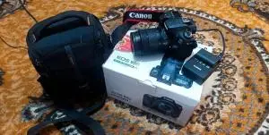 stock