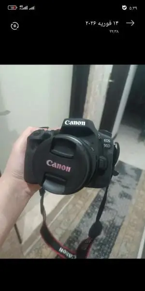 stock
