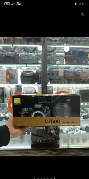 stock