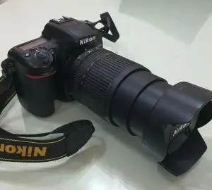 stock