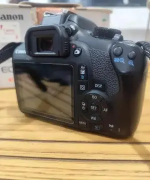 stock