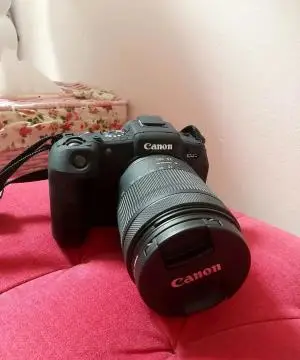 stock