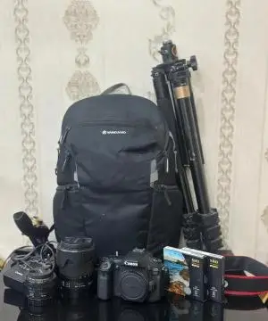 stock