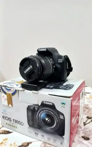 stock