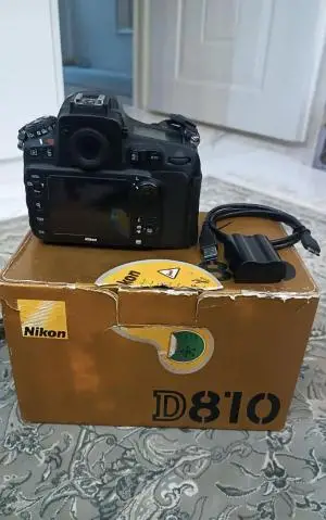 stock