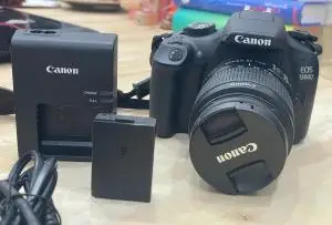 stock