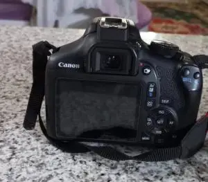stock