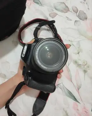 stock